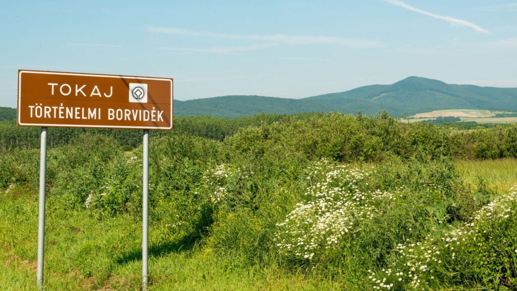 Região de Tokaj, na Hungria