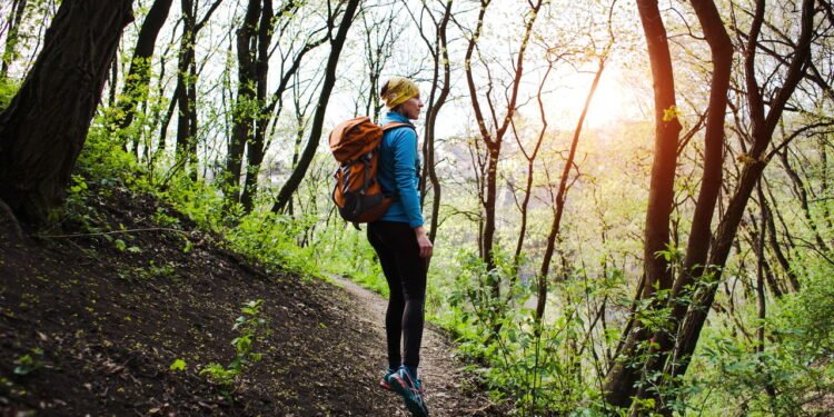 Trilha te coloca em contato com a natureza - depositphotos.com / zhukovvvlad