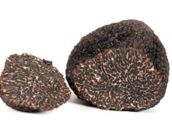 Trufas negras: Luxo na gastronomia