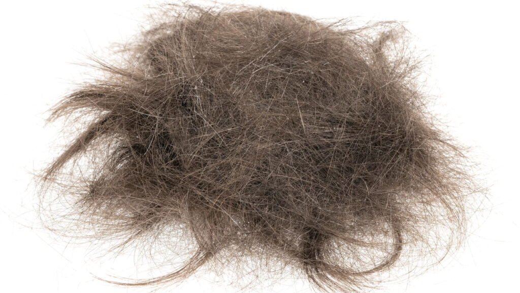 Fios de cabelo coletados em salões evitam perda de umidade e aliviam o estresse hídrico nas lavouras