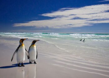 Você pode visitar um arquipélago remoto com tesouros naturais