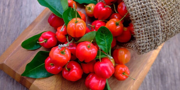 Acerola é rica em vitamina C - depositphotos.com / gukguithammasorn.gmail.com