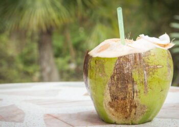 Água de coco é saudável? Descubra seus efeitos no corpo