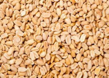 Amendoim: versatilidade e saúde na culinária brasileira