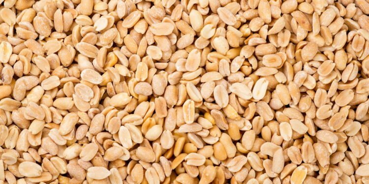 Amendoim é um alimento muito versátil - depositphotos.com / Volurol