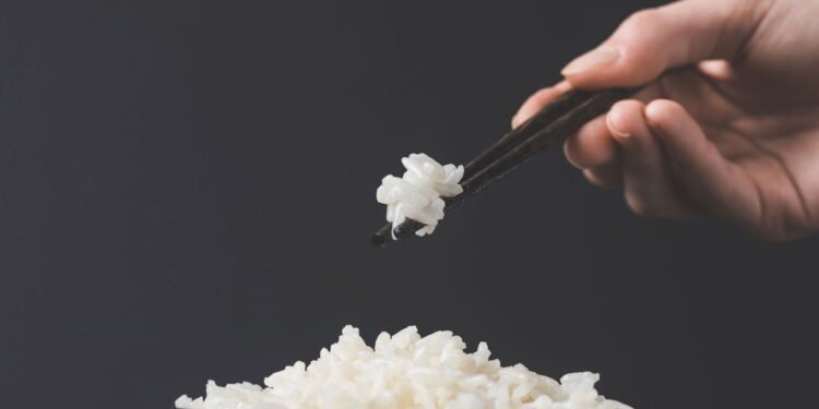 Arroz japonês