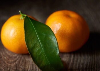 Chá de folha de laranja: O segredo que está revolucionando a saúde