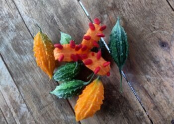 Melão de São Caetano