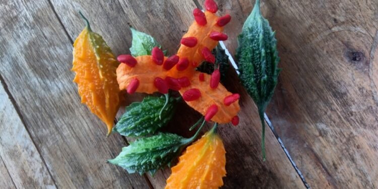 Melão de São Caetano