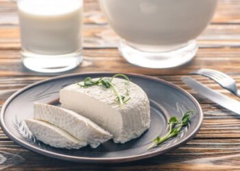 Queijos magros são aliados da saúde e do emagrecimento