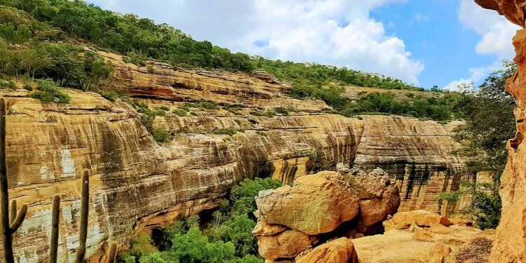 Parque Nacional da Serra da Capivara - Wikimedia Commons/ Carlos Souto