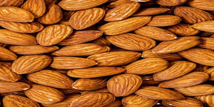 As amêndoas são muito importantes para a saúde - Freepik