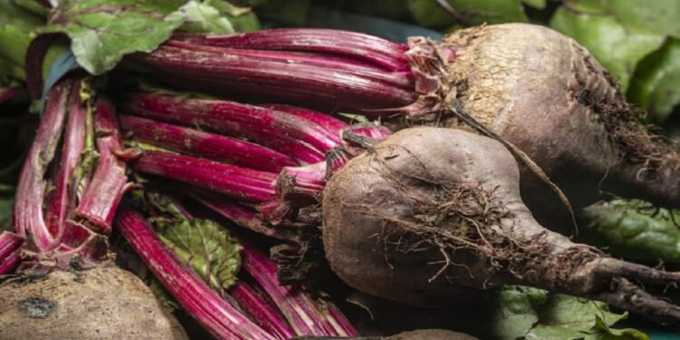 Beterraba é um alimento que faz bem pra saúde - freepik