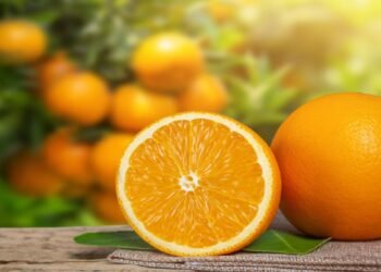 Fortaleça sua imunidade com essas frutas surpreendentes