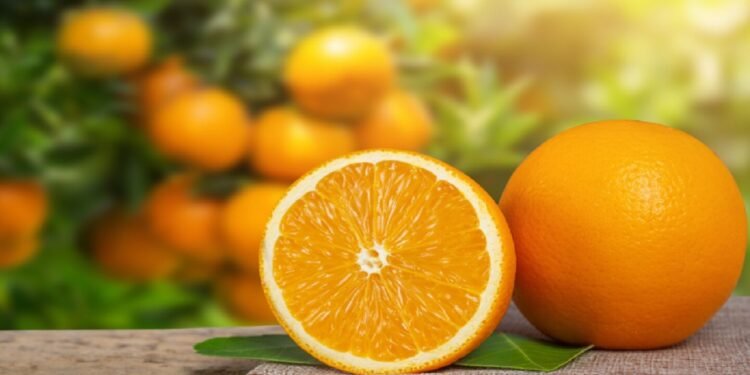 A laranja ajuda na imunidade - Freepik