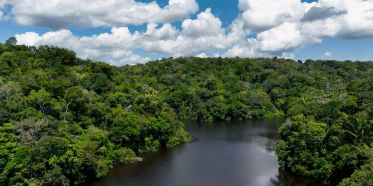 Peixes do Rio Araguaia