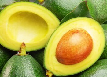 Abacate: aliado do cérebro e do bem-estar emocional