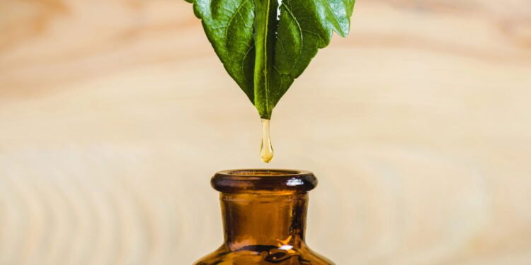 Aromaterapia em alta: prática milenar ganha espaço no cotidiano moderno