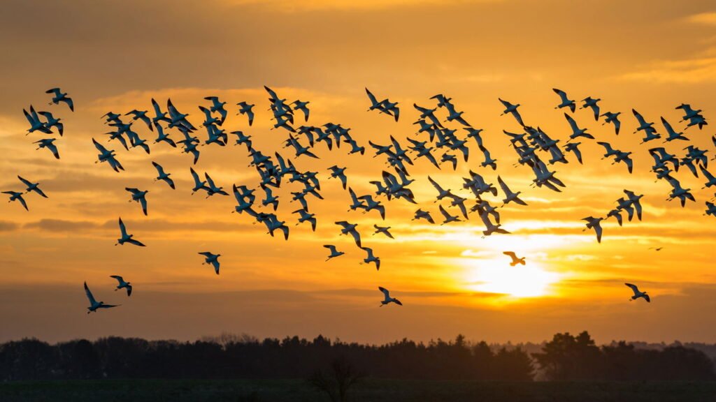 Chegada da primavera