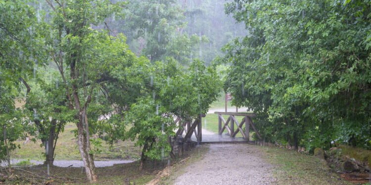 As chuvas são presenças constantes em muitas partes do Brasil - depositphotos.com / woyzzeck