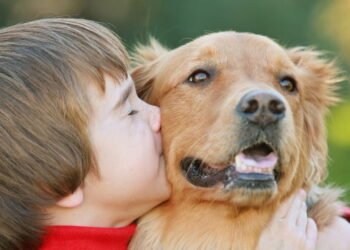 A convivência entre crianças e cães pode ser repleta de afeto, mas exige atenção na escolha da raça do cachorro