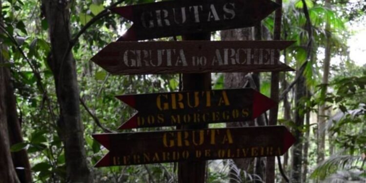 Parque Nacional da Tijuca