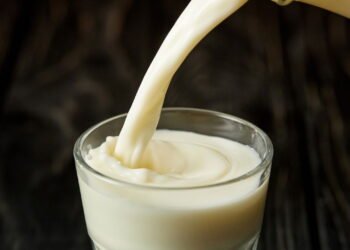 Rico em proteínas e vitaminas, o leite desempenha papel importante na alimentação diária