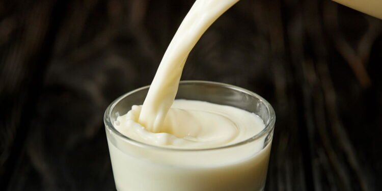 Rico em proteínas e vitaminas, o leite desempenha papel importante na alimentação diária