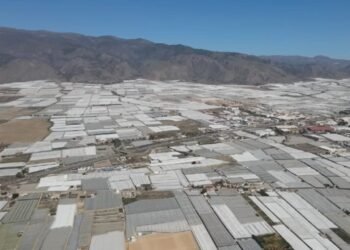 Mar de Plástico na Espanha