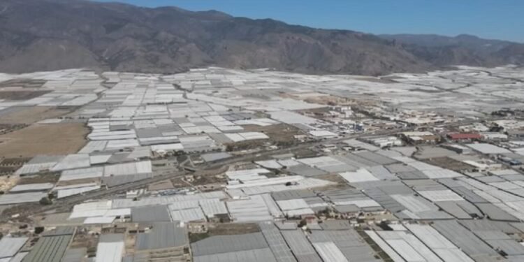 Mar de Plástico na Espanha