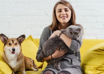 Animais de estimação e saúde mental: O benefício da companhia