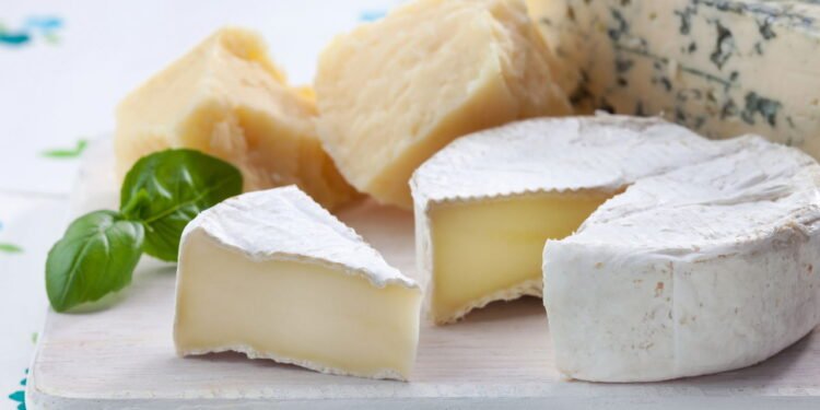 Queijos leves podem ser aliados de uma dieta equilibrada sem abrir mão do sabor