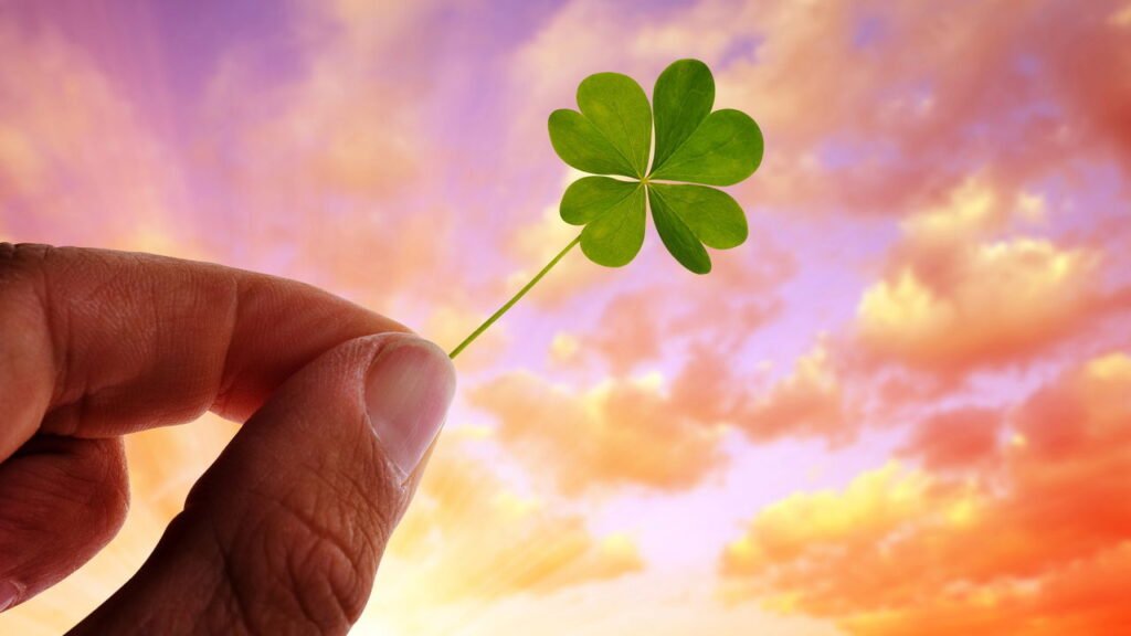 Trevo de quatro folhas