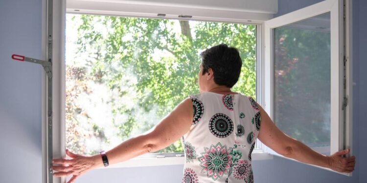 5 dicas infalíveis para melhorar o ar puro dentro de sua casa