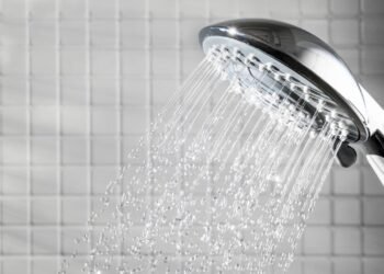 Antes de comprar: veja como o chuveiro elétrico certo pode economizar energia