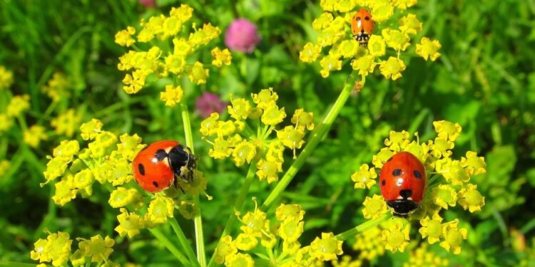 Créditos: depositphotos.com / Inventor