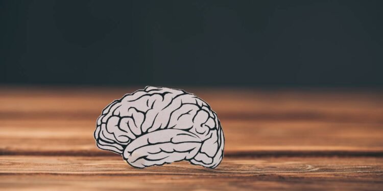 Melatonina: o que não te contaram sobre o hormônio do sono