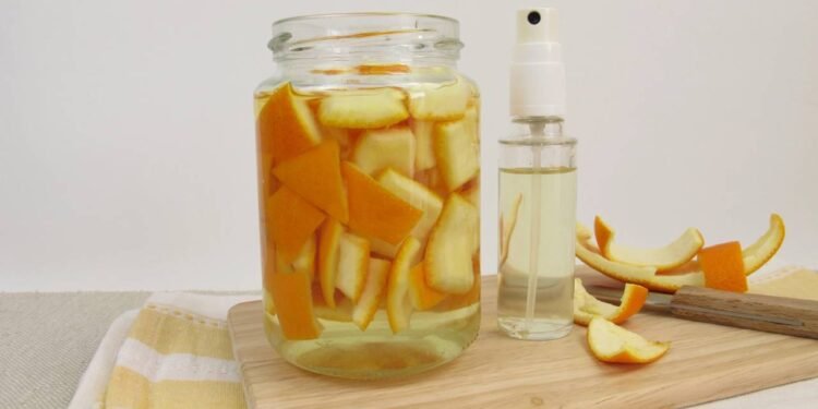 Créditos: depositphotos.com / HeikeRau