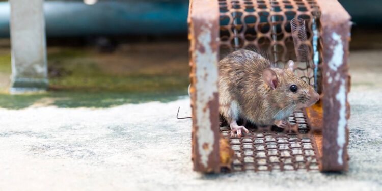 Créditos: depositphotos.com / Prot56