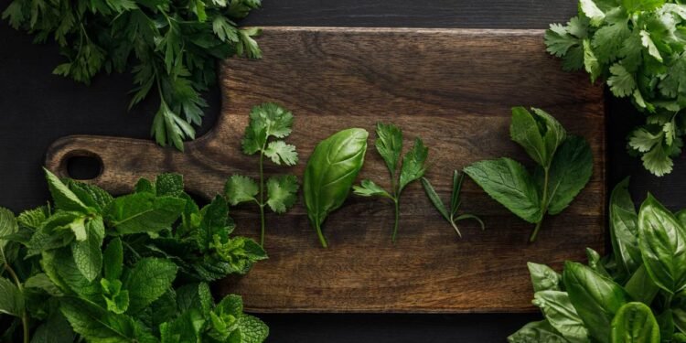 A planta ideal para plantar em outubro, com crescimento intenso