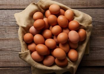 Ovo: o alimento mais acessível e completo do mundo; saiba tudo!