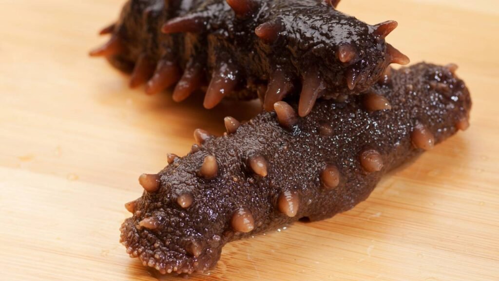 Pepino do mar -depositphotos.com / ytyoung1220