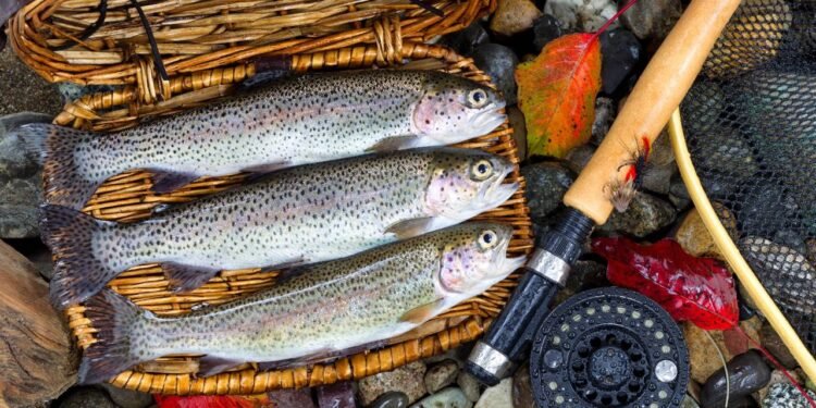 Quais são os melhores peixes para a saúde do coração?