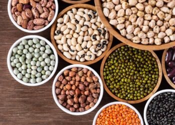 Quer substituir a carne? Veja os vegetais mais ricos em proteína