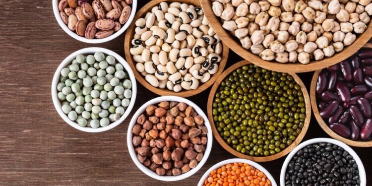 Quer substituir a carne? Veja os vegetais mais ricos em proteína