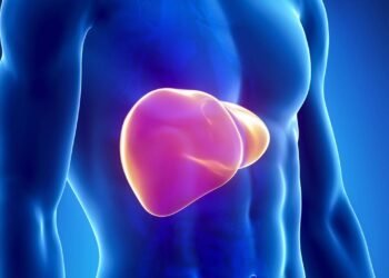 Seu fígado após 24h, 7 e 30 dias sem álcool: entenda as mudanças