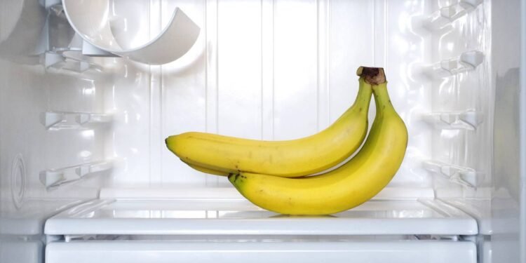 Créditos: depositphotos.com / joreks12