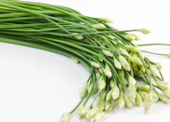 15 plantas deliciosas e fáceis de cultivar no quintal ou varanda