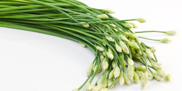 15 plantas deliciosas e fáceis de cultivar no quintal ou varanda