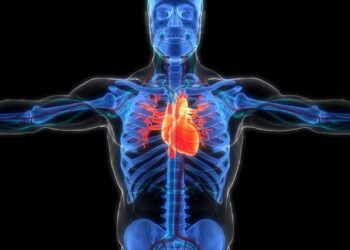 Afinal, usar anabolizantes faz o coração ficar musculoso? Saiba tudo!